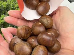 -金栗王(清扬路店)