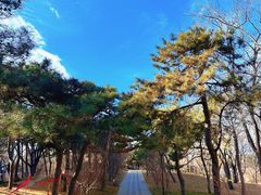 -元大都城垣遗址公园