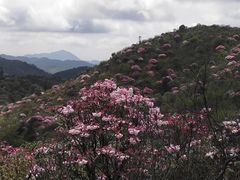 -井冈山风景名胜区