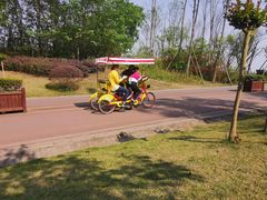 -白鹭湾湿地公园