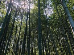 -穹窿山景区