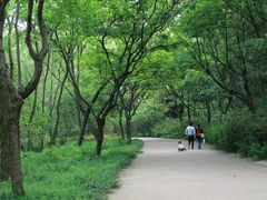 -西湖风景区-江洋畈生态公园