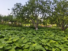 -春晖园度假酒店温泉