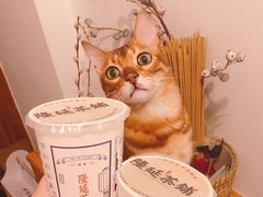 -隆延茶铺(学清路驹然店)