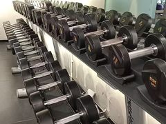 -健身专家Wellness Experts