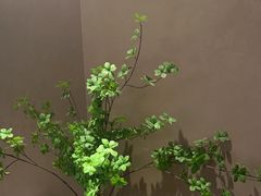 -青年公社烤鸭(熙悦天街店)