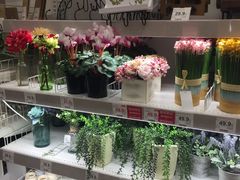 -NITORI 宜得利家居(杭州良渚永旺店)