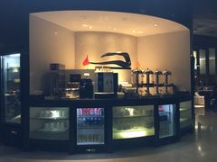 -虹桥机场国航贵宾室v8