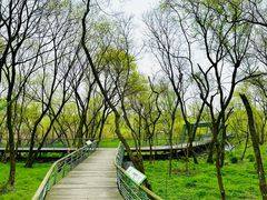 -西湖风景区-江洋畈生态公园