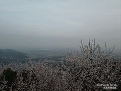 -香山公园