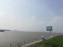 -海鸥岛