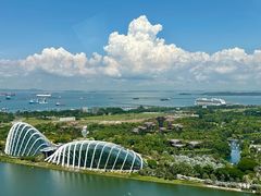 -新加坡摩天观景轮