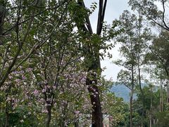 -广东外语外贸大学(白云山校区)