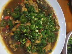 -全乐鱼馆·淳牌有机鱼直营店