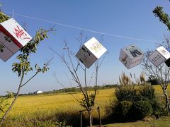 -梁鸿国家湿地公园