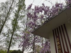 -郑和公园