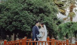 -李顺昌 SACELL LEE (旗舰店)