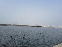 -天津东疆湾沙滩景区