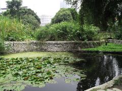-成都市活水公园