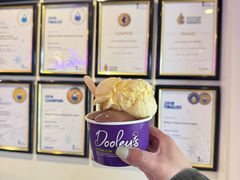 -Dooley's Premium Ice Cream
