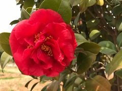 -南京中医药大学(仙林校区)