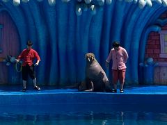 -华夏文旅海洋公园