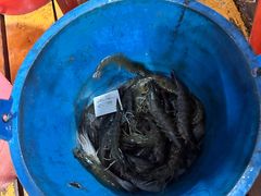 -蓝湾碧波·老字号·疍家非遗海上餐厅