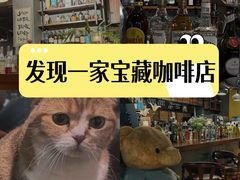 -咖法森林·咖啡  酒吧(天河店)