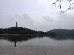 -顺峰山公园