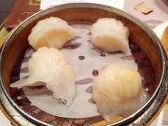 虾饺-糖朝(尖沙咀店)