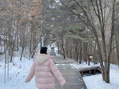 -帽儿山国家森林公园