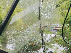 -长春藤咖啡(北园店)