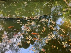 -成都杜甫草堂博物馆