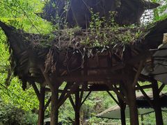 -青城山