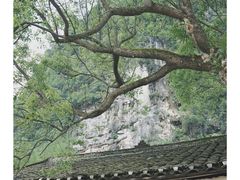 -村上春树