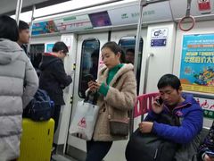 -大龙山(地铁站)