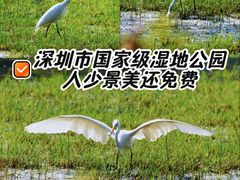 -华侨城湿地公园