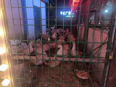 -鱼窝棚柴火铁锅炖(富山屯店)