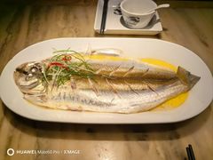 -吴越荣记苏州菜·松鼠桂鱼 100% 活鱼现做(月光码头店)