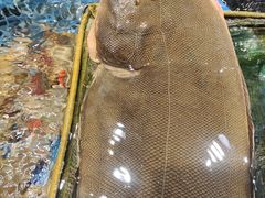 -好礼家海鲜•海肠捞饭大王(金沙滩念慈别墅店)