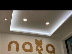 -纳吉亚猫专科动物医院·北北分院
