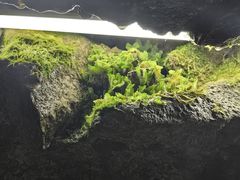 -陶祖圣境风景区