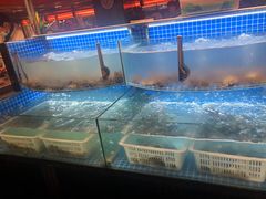 水产区-星伦多自助料理·涮烤一体(虹悦城店)