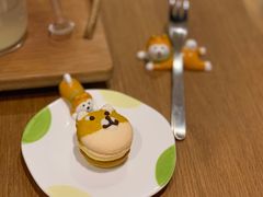 -柴务处·柴犬主题狗咖