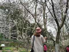 -武汉大学-樱园