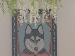 -Husky Go! 哈士奇体验馆·宠物咖啡厅狗咖