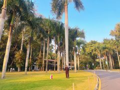 -深圳仙湖植物园