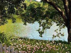 -深圳市中科院仙湖植物园