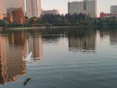 -黄兴公园