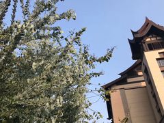-清远熹乐谷温泉度假酒店